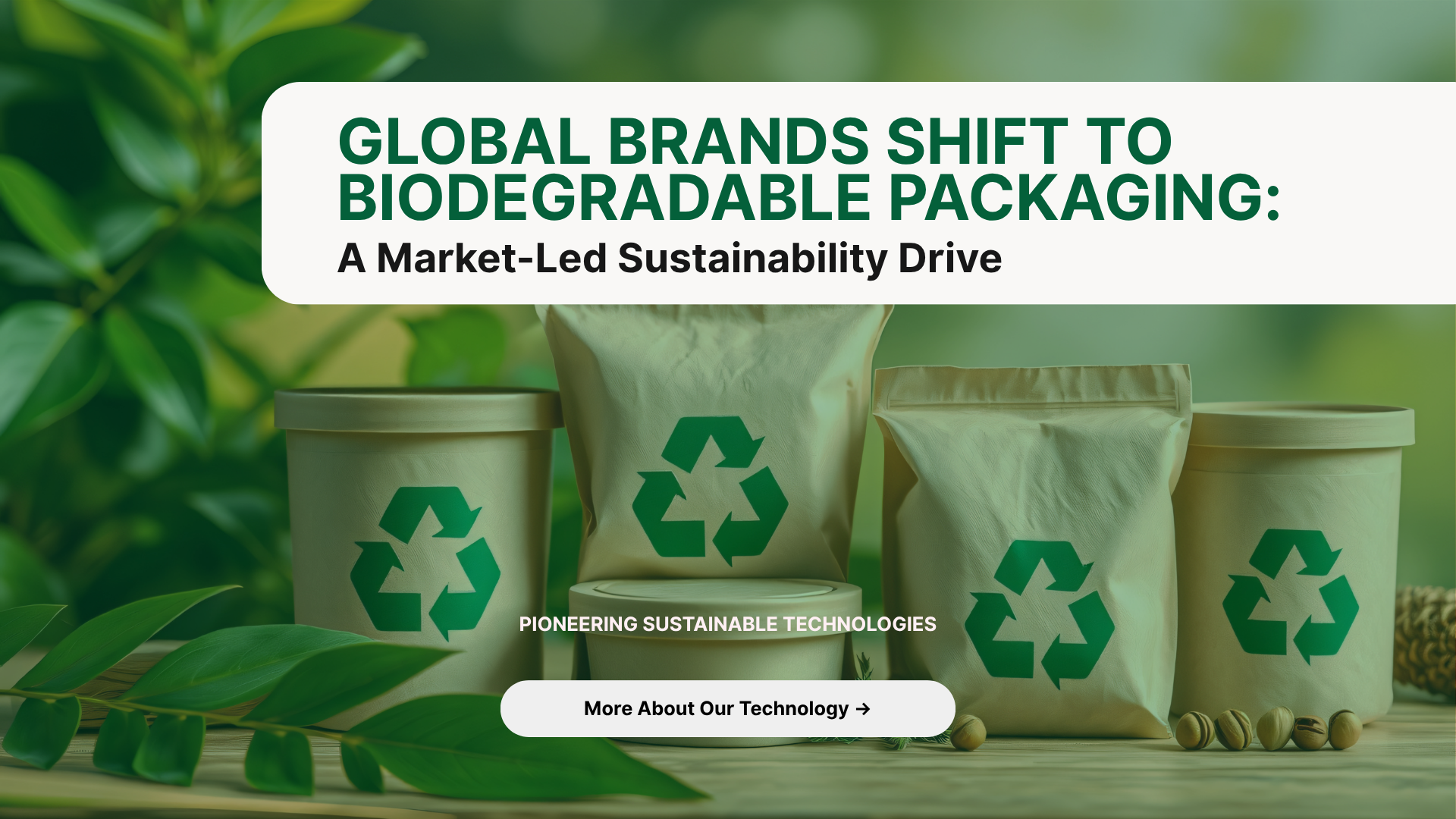 Global Brands Shift to Biodegradable Packaging: A Market-Led Sustainability Drive