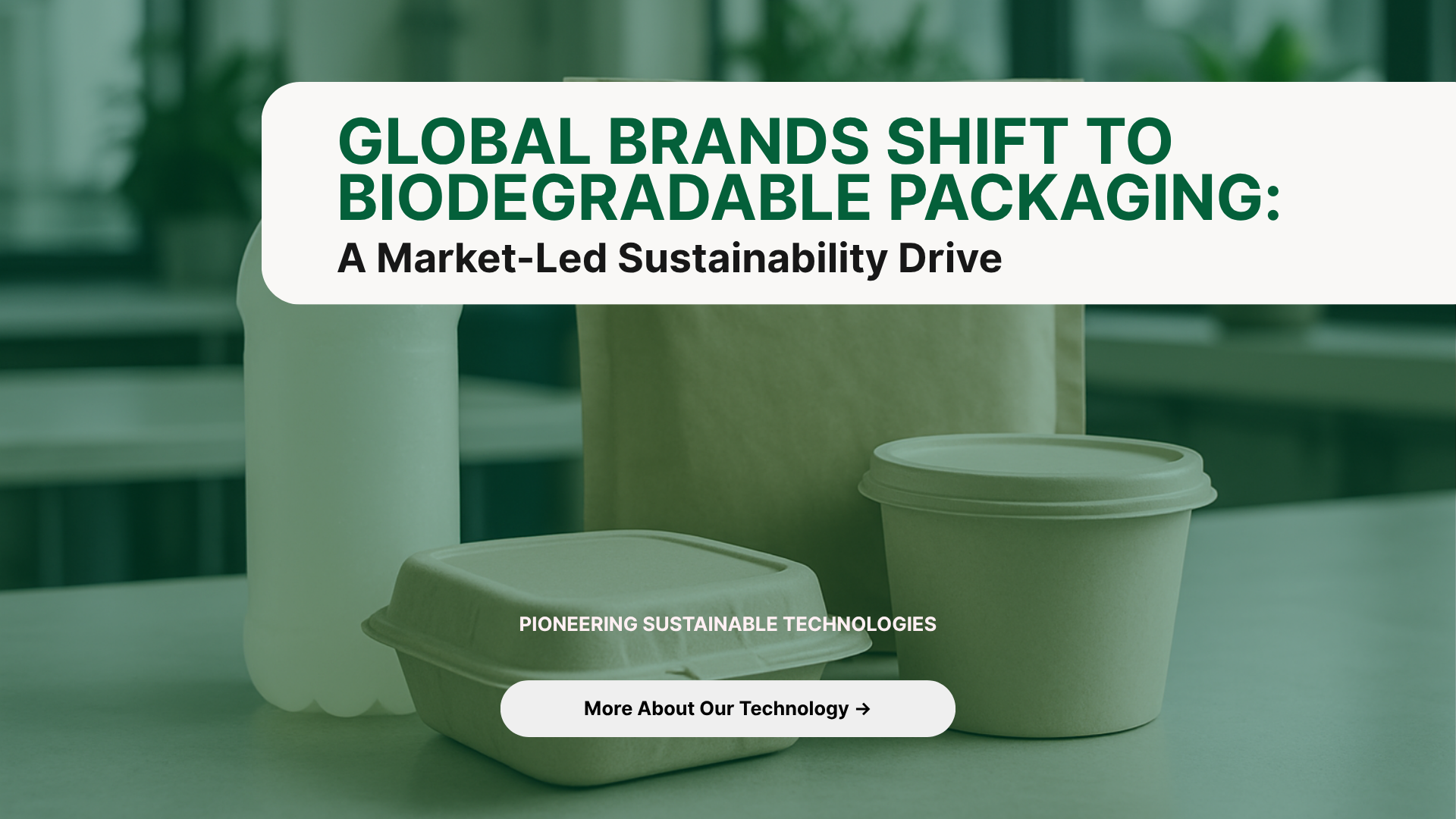 Global Brands Shift to Biodegradable Packaging: A Market-Led Sustainability Drive