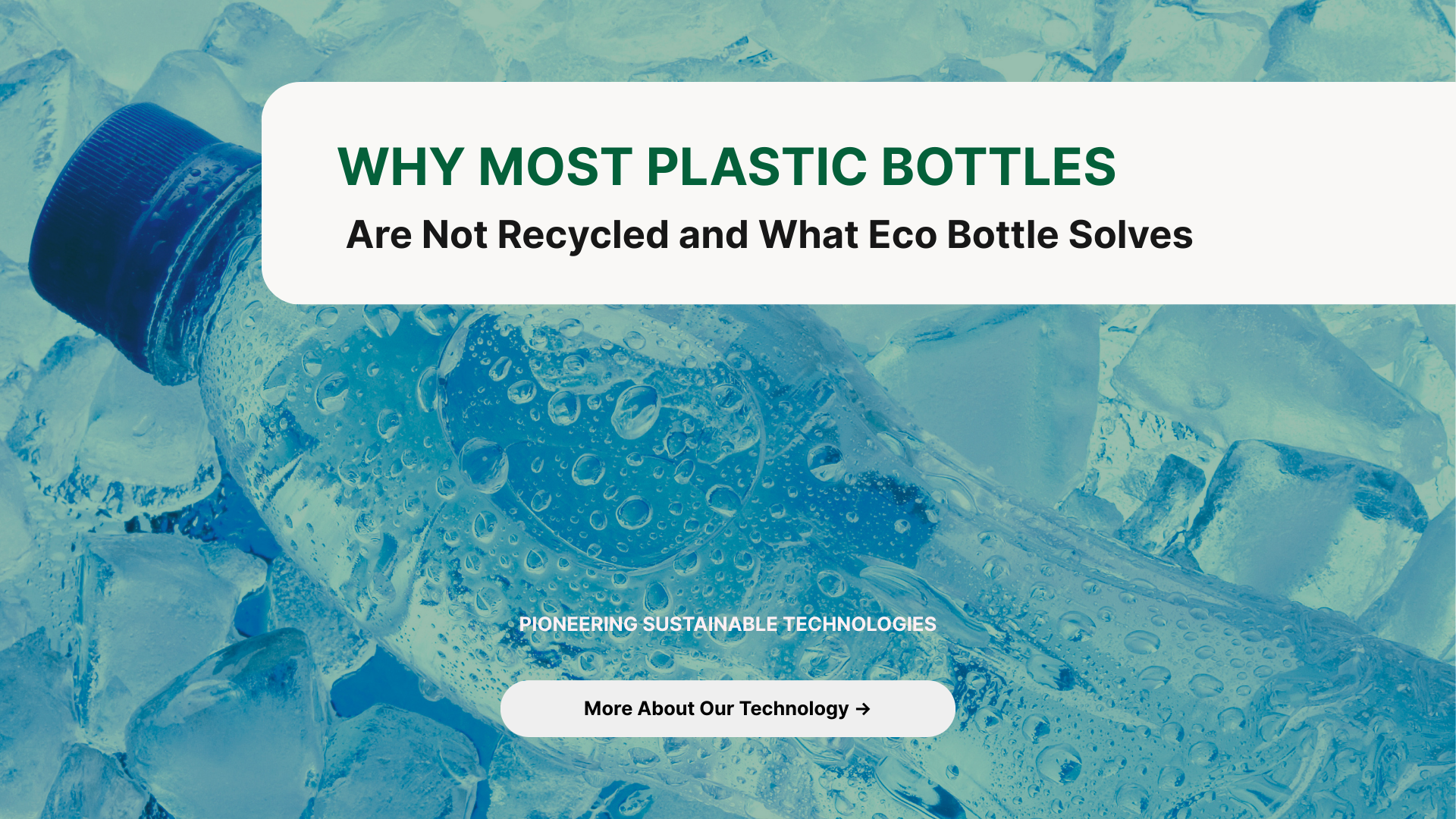 Why Most Plastic Bottles Are Not Recycled and What Eco Bottle Solves