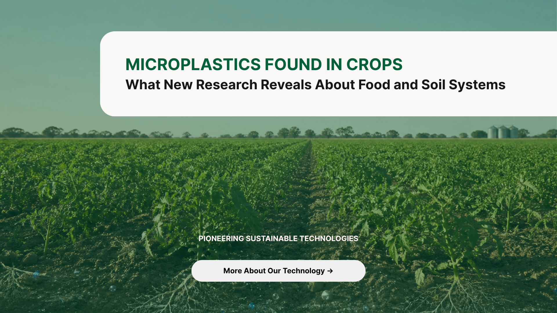 Microplastics Found in Crops What New Research Reveals About Food and Soil Systems